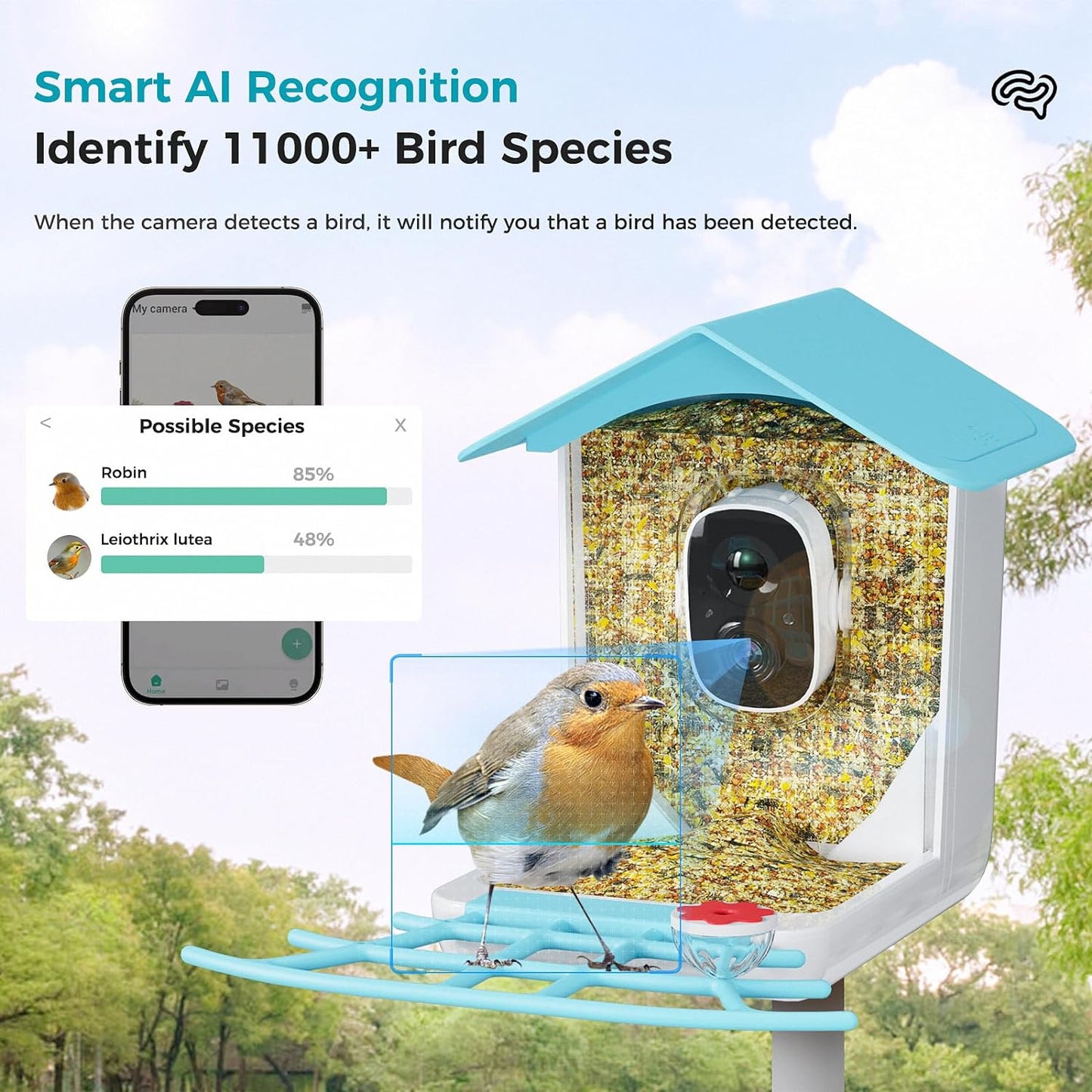 Smart Bird Feeder with Camera Solar powered, AI Recognition & Auto Capture Bird Videos, Waterproof Bird Feeder with Camera Wireless Outdoor, Ideal Gift for Bird Lover (A Hummingbird Feeder Included)